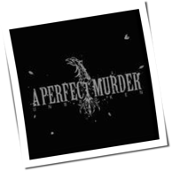 A Perfect Murder - Unbroken