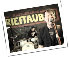 Abstürzende Brieftauben - Im Strandbad Abstürzende Brieftauben - Im Strandbad