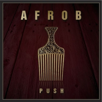 Afrob - Push Artwork