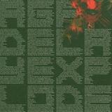 Agf/Delay - Explode Artwork