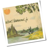 Albert Hammond Jr. - Yours To Keep