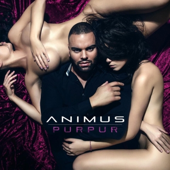 Animus - Purpur Artwork