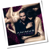 Animus - Purpur
