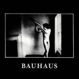 Bauhaus - In The Flat Field Artwork