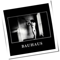 Bauhaus - In The Flat Field