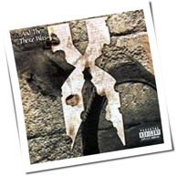 DMX - ...And Then There Was X