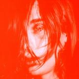 Deerhunter - Microcastle Artwork