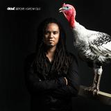 Dellé - Before I Grow Old Artwork