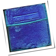 Die Ärzte - Runter mit den Spendierhosen, Unsichtbarer!