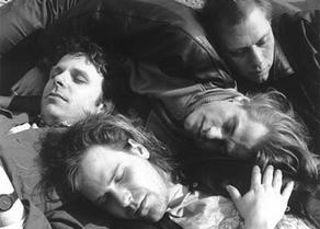 Die Regierung laut.de Band