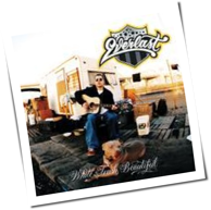 Everlast - White Trash Beautiful