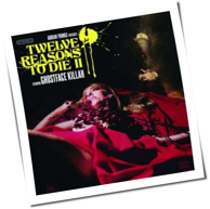 Ghostface Killah - Twelve Reasons To Die II