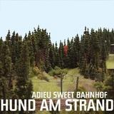 Hund am Strand - Adieu Sweet Bahnhof Artwork