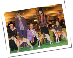 Kommando Sonne-nmilch