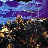 Late Of The Pier - Fantasy Black Channel Artwork