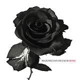 Maximilian Hecker - Rose Artwork