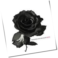 Maximilian Hecker - Rose
