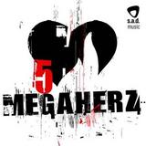 Megaherz - 5 Artwork