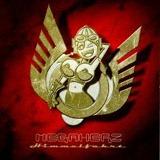 Megaherz - Himmelfahrt Artwork