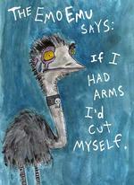 Mexiko: Jagd auf Emos fordert Verletzte