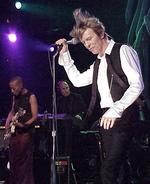 Namenspatron: Spinne nach David Bowie benannt