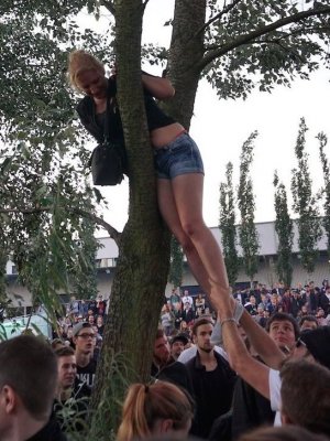 Spektrum 2016: Selbst MoneyBoy ist hier willkommen