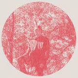 Owen Pallett - Heartland Artwork