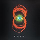 Pearl Jam - Binaural Artwork