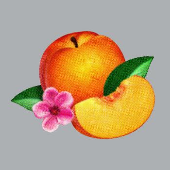 Phoenix - Bankrupt! Artwork