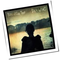 Porcupine Tree - Deadwing