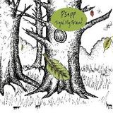 Psapp - Tiger, My Friend Artwork