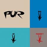 Pur - Was Ist Passiert? Artwork