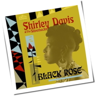 Shirley Davis & The Silverbacks - Black Rose
