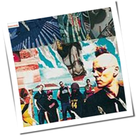 Son Goku - Crashkurs