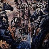 Suffocation - Souls To Deny Artwork