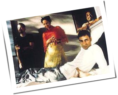 Supreme Beings Of Leisure