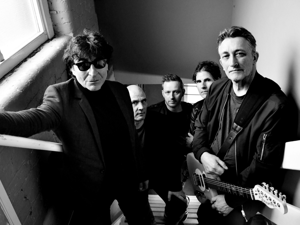 The Chameleons