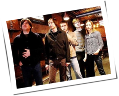 The Ladybug Transistor