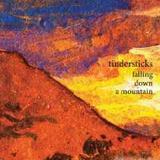 Tindersticks - Falling Down A Mountain Artwork