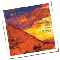Tindersticks - Falling Down A Mountain