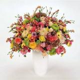 Tocotronic - Schall Und Wahn Artwork