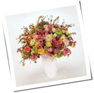 Tocotronic - Schall Und Wahn