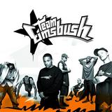 Various Artists - Team Eimsbush Artwork