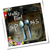 Wallis Bird - Spoons