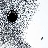 Wilco - Sky Blue Sky Artwork