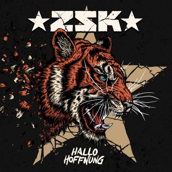 ZSK - Hallo Hoffnung Artwork