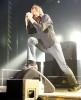 In der hässlichen Messehalle: Die Toten Hosen|&copy; laut.de (Fotograf: Alexander Cordas)