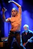 Iggy & The Stooges rocken das Taubertal.|&copy; laut.de (Fotograf: Michael Grein)