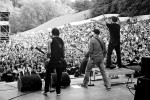 Donots, Taubertal 2011|&copy; laut.de (Fotograf: Michael Grein)