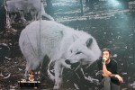 Hier in voller Pracht.|&copy; laut.de (Fotograf: Hardy Funk)